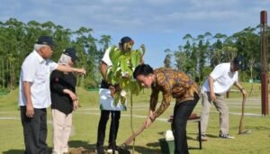 Wapres Tunjukkan Komitmen Lingkungan lewat Penanaman Pohon Ulin di IKN